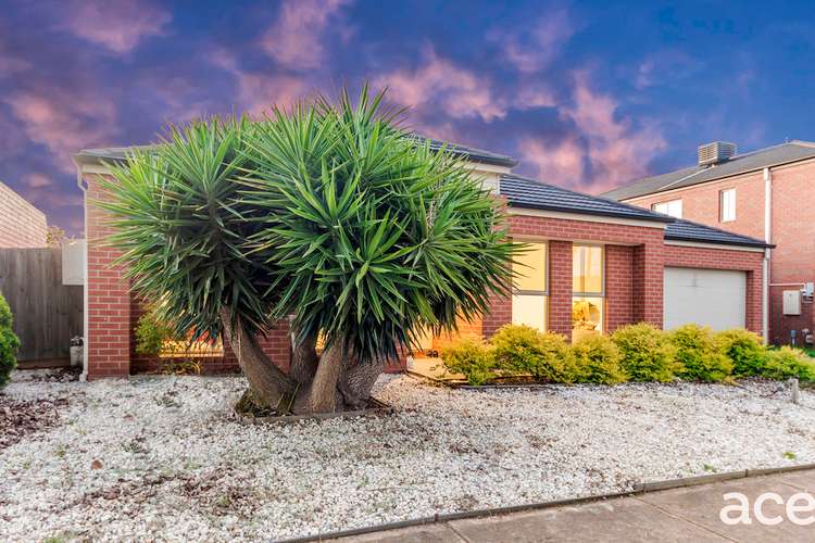 Third view of Homely house listing, 28 Bronzewing Street, Williams Landing VIC 3027