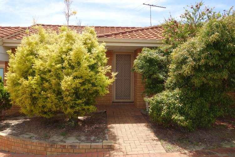 Second view of Homely villa listing, 17/69 Hutton Street, Stirling WA 6021