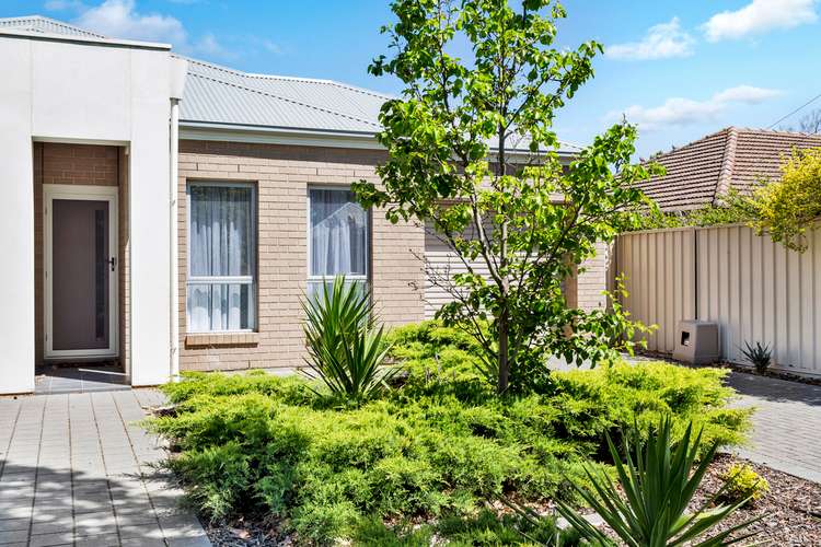 Second view of Homely house listing, 56 York Avenue, Clovelly Park SA 5042