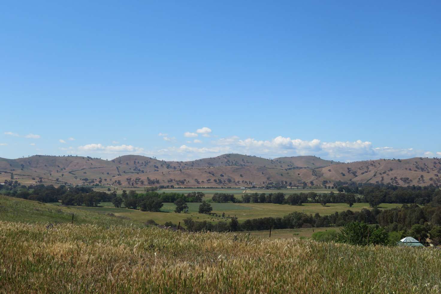 Main view of Homely residentialLand listing, Lot 332 Neil McInerney Street, Gundagai NSW 2722