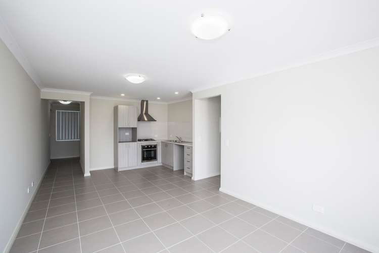 Main view of Homely apartment listing, 5/31 Stratton Street, Hamilton Hill WA 6163