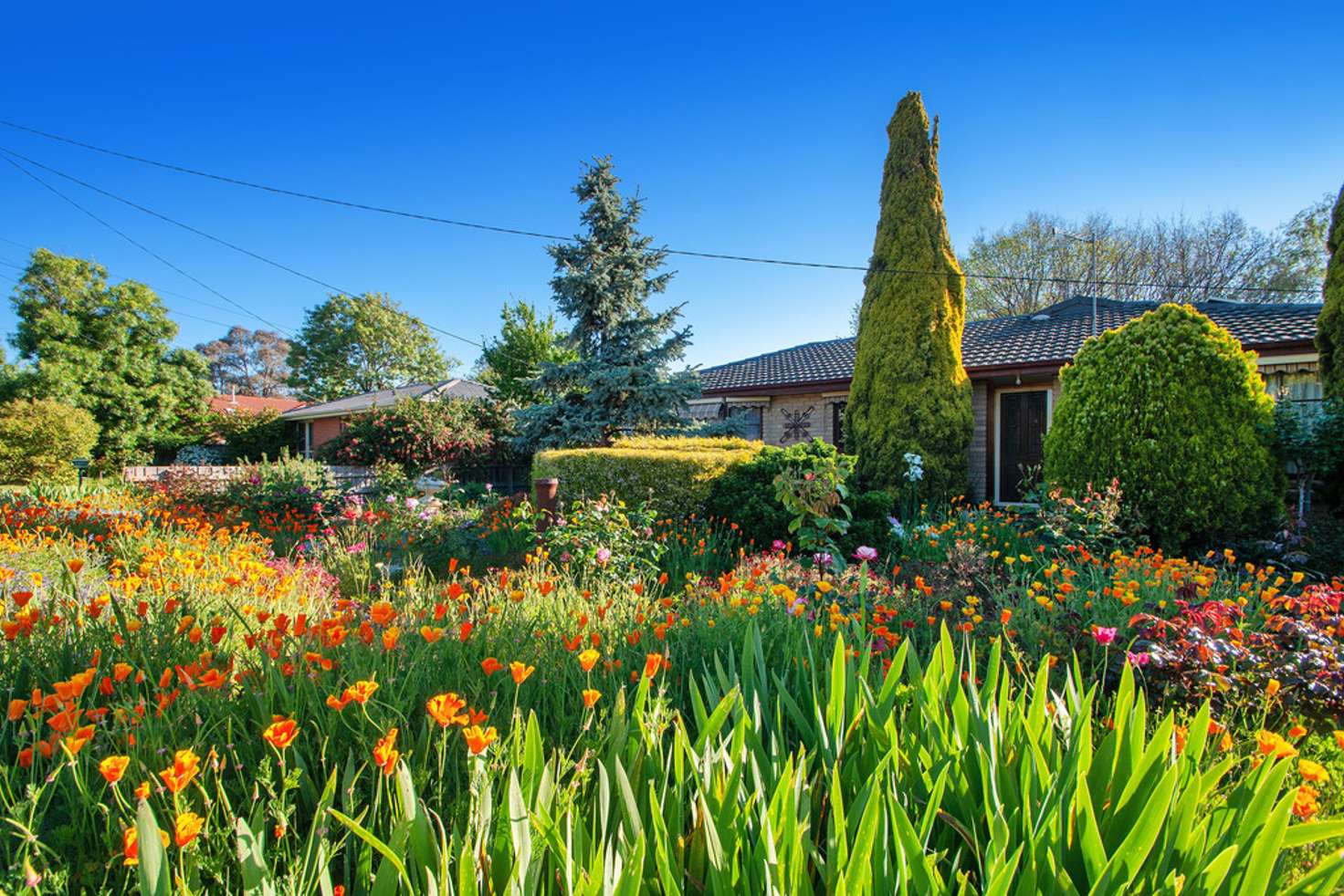 Main view of Homely house listing, 3 Waratah Ave, Bayswater North VIC 3153