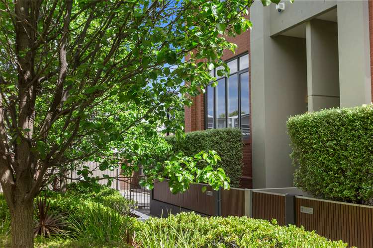 Main view of Homely townhouse listing, 19/3 Runge Place, Norwood SA 5067