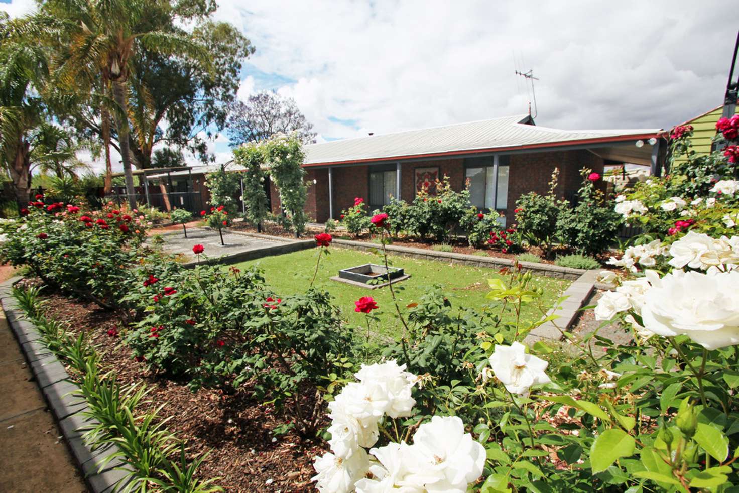 Main view of Homely house listing, 16 Kulkyne Street, Renmark SA 5341