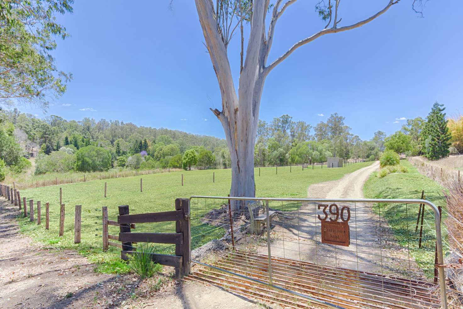 Main view of Homely house listing, 390 Schreibers Road, Cooran QLD 4569