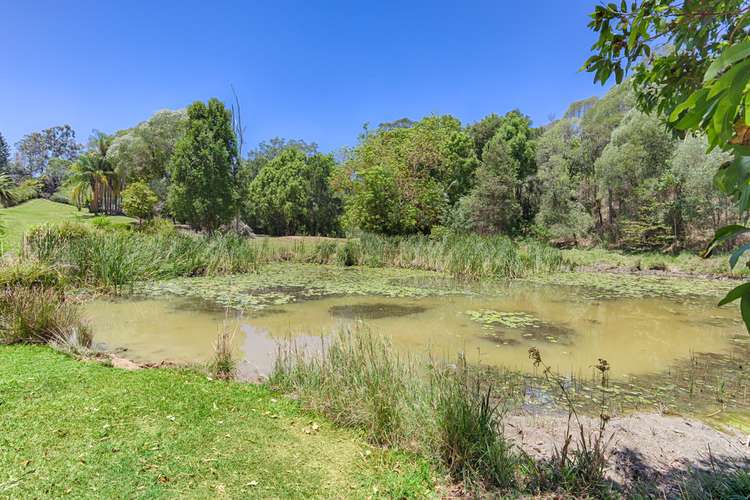 Third view of Homely house listing, 390 Schreibers Road, Cooran QLD 4569