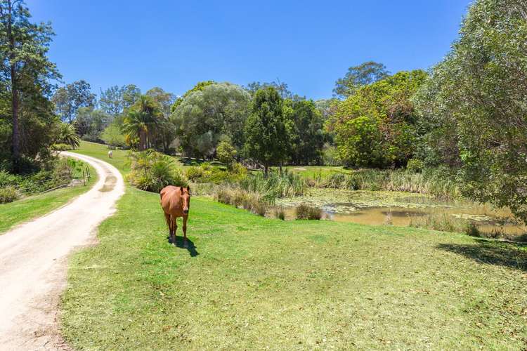 Fifth view of Homely house listing, 390 Schreibers Road, Cooran QLD 4569