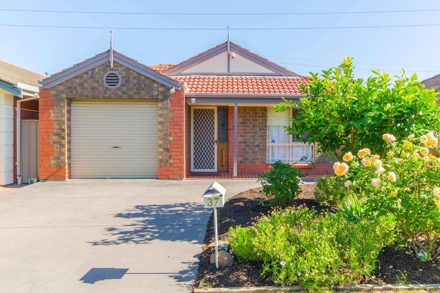 Main view of Homely house listing, 37 Oxford Circuit, Newton SA 5074