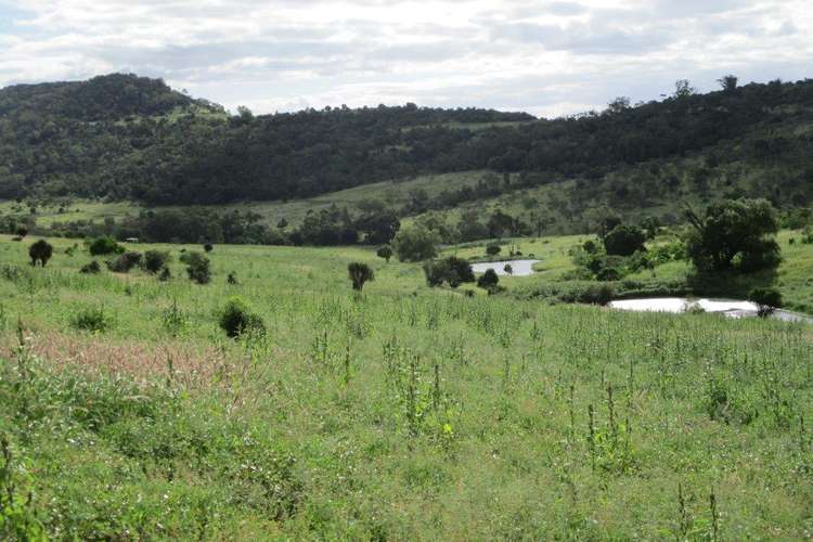 Third view of Homely mixedFarming listing, 425 ACRES CATTLE GRAZING, Bell QLD 4408