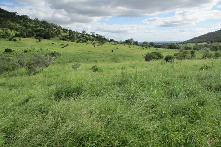 Fourth view of Homely mixedFarming listing, 425 ACRES CATTLE GRAZING, Bell QLD 4408