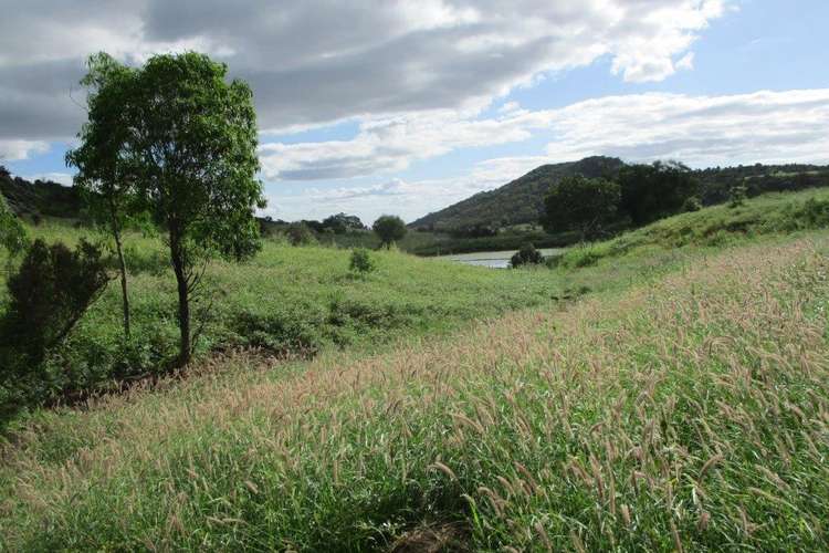 Fifth view of Homely mixedFarming listing, 425 ACRES CATTLE GRAZING, Bell QLD 4408
