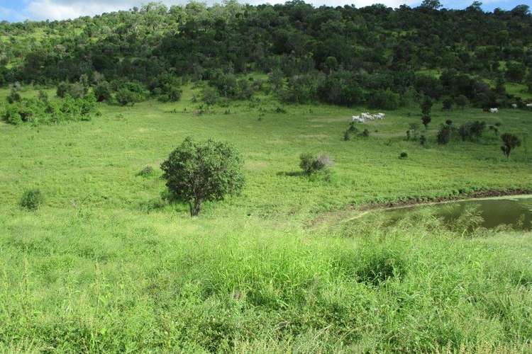Sixth view of Homely mixedFarming listing, 425 ACRES CATTLE GRAZING, Bell QLD 4408