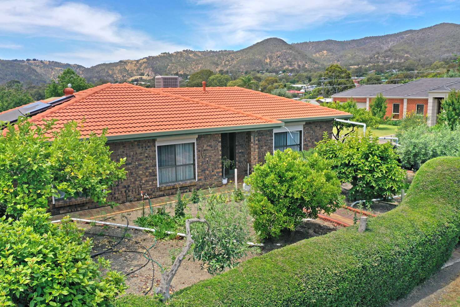 Main view of Homely house listing, 56 Griggs Drive, Athelstone SA 5076