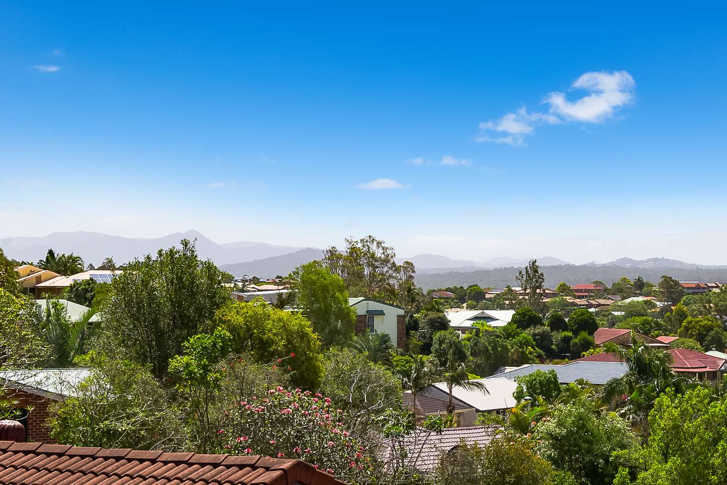 Main view of Homely house listing, 50 Frederick Street, Albany Creek QLD 4035