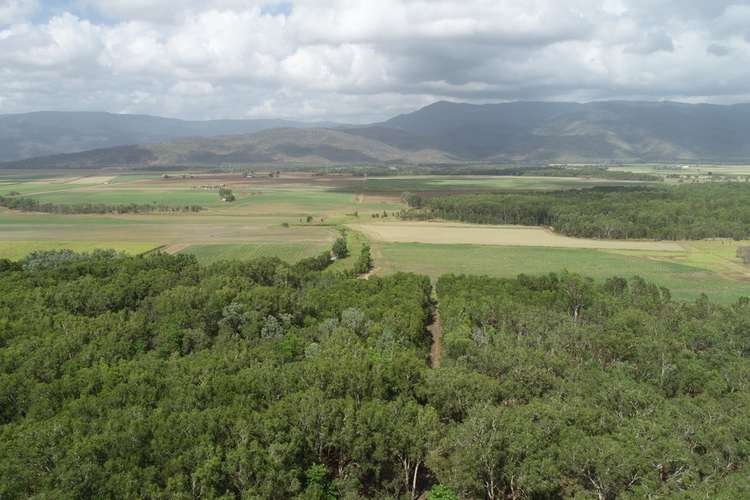 Third view of Homely acreageSemiRural listing, 349 AMOS ROAD, Coolbie QLD 4850