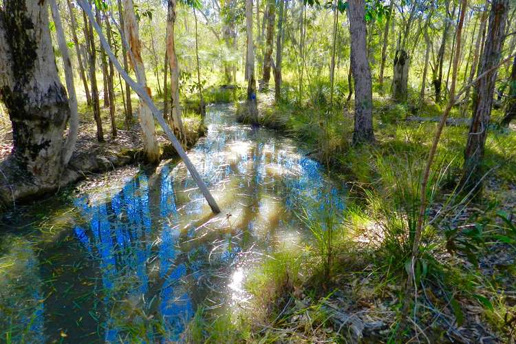 Main view of Homely residentialLand listing, 107 Range Road, Captain Creek QLD 4677