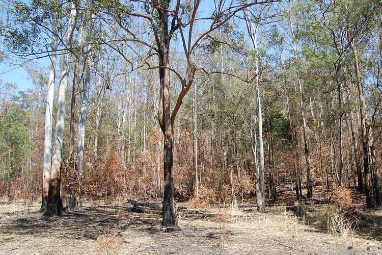 Third view of Homely cropping listing, Lot 8 Long Gully Road, Drake NSW 2469