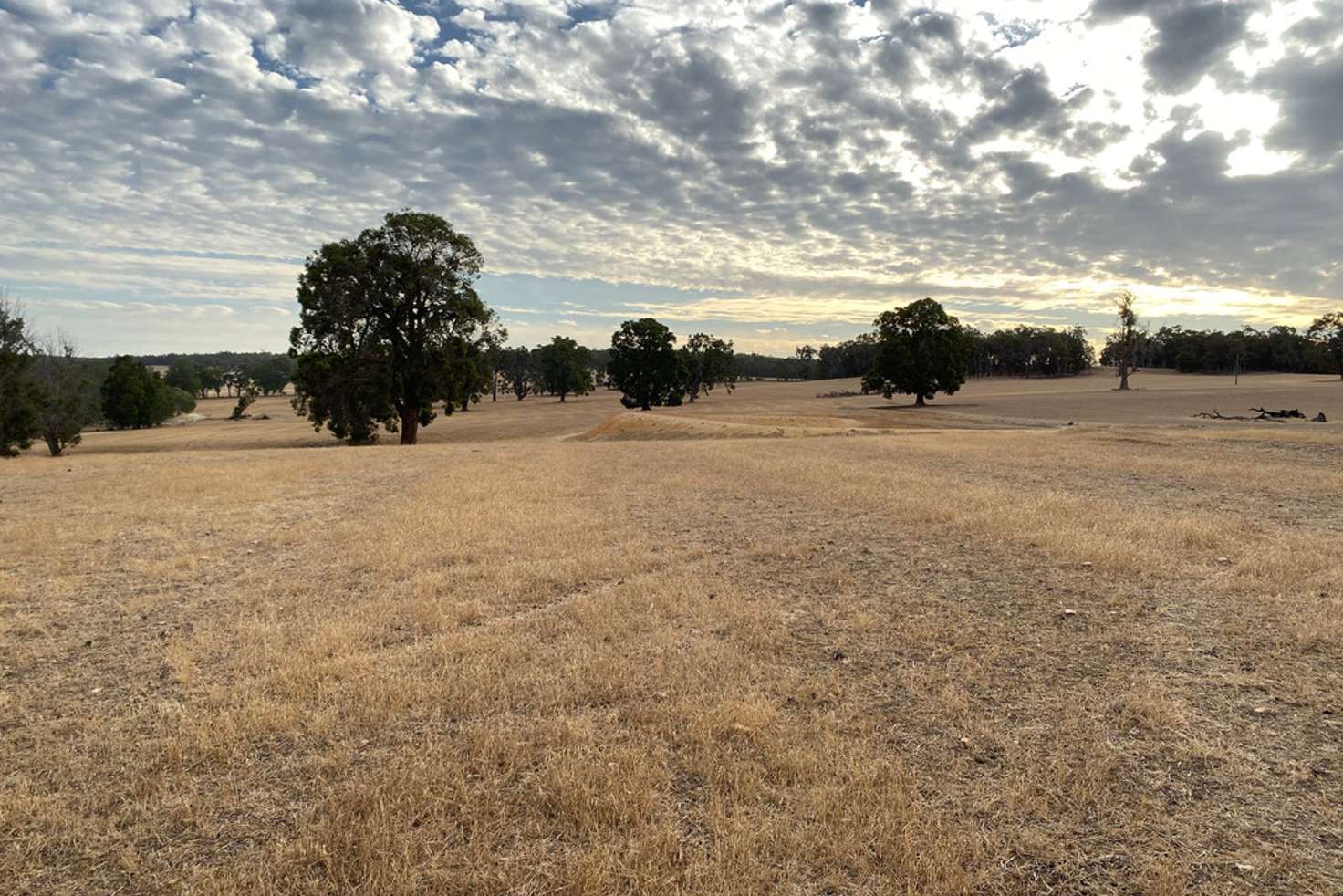 Main view of Homely mixedFarming listing, 1661 Scotts Brook Road, Boyup Brook WA 6244