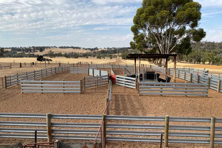 Second view of Homely mixedFarming listing, 1661 Scotts Brook Road, Boyup Brook WA 6244