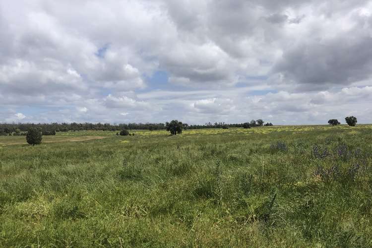 Second view of Homely mixedFarming listing, - 1016 NYNGAN RD, Condobolin NSW 2877