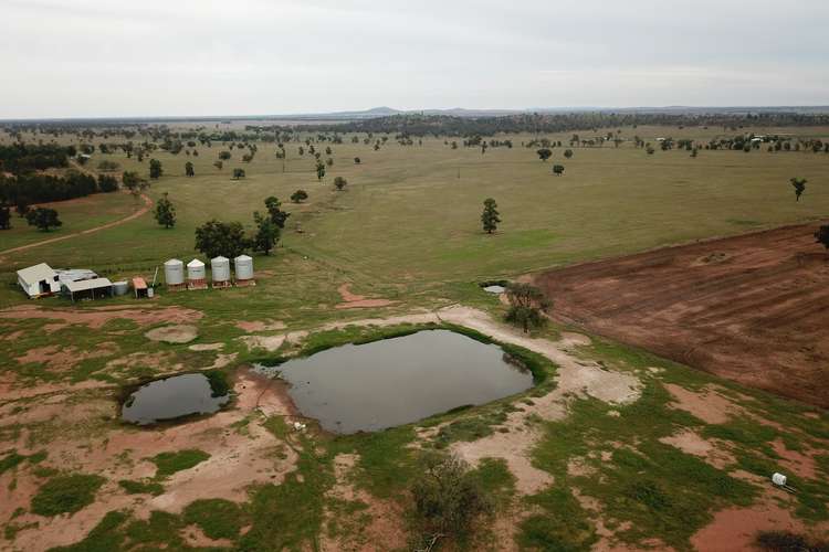 Third view of Homely mixedFarming listing, - 1016 NYNGAN RD, Condobolin NSW 2877