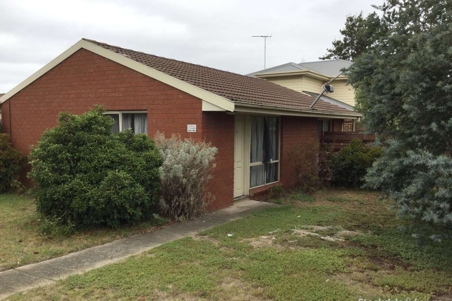 Main view of Homely unit listing, 1/44 Torquay Road, Belmont VIC 3216