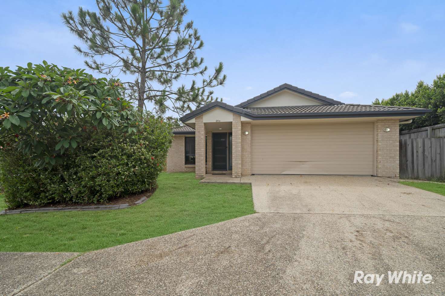 Main view of Homely house listing, 20B Spruce Street, Loganlea QLD 4131