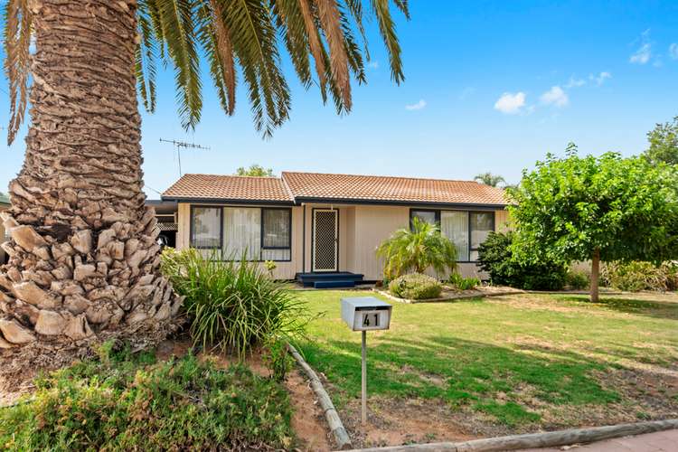 Main view of Homely house listing, 41 Dridan Avenue, Renmark SA 5341