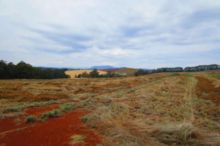 Sixth view of Homely cropping listing, 690 Kindred Road, Kindred TAS 7310