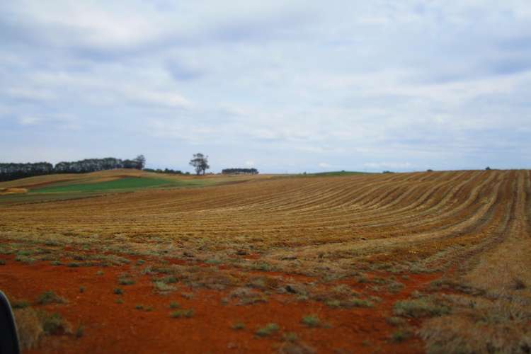 Seventh view of Homely cropping listing, 690 Kindred Road, Kindred TAS 7310