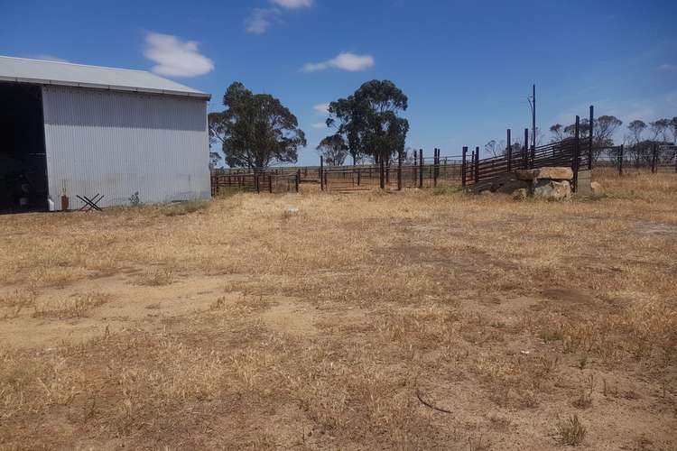 Fifth view of Homely cropping listing, 371 Roberts Rd, Gairdner WA 6337