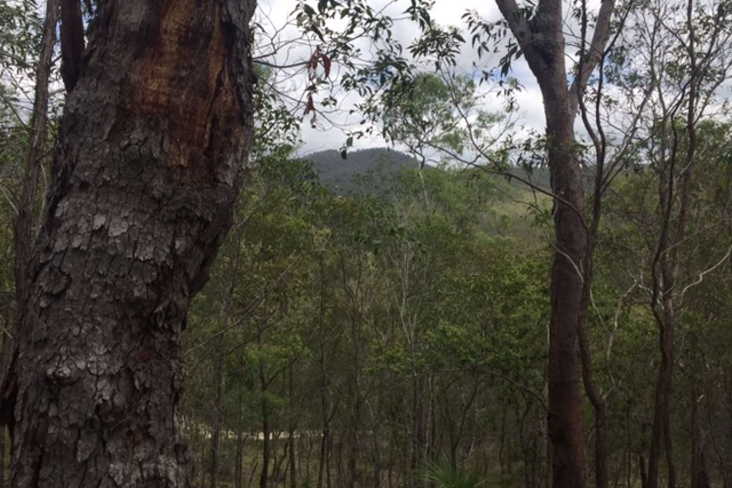 Main view of Homely residentialLand listing, Lot 42 Creevey Drive, Captain Creek QLD 4677