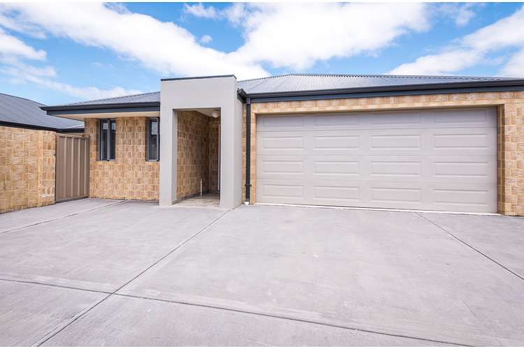 Main view of Homely unit listing, 3/6 Muriel Street, Gosnells WA 6110