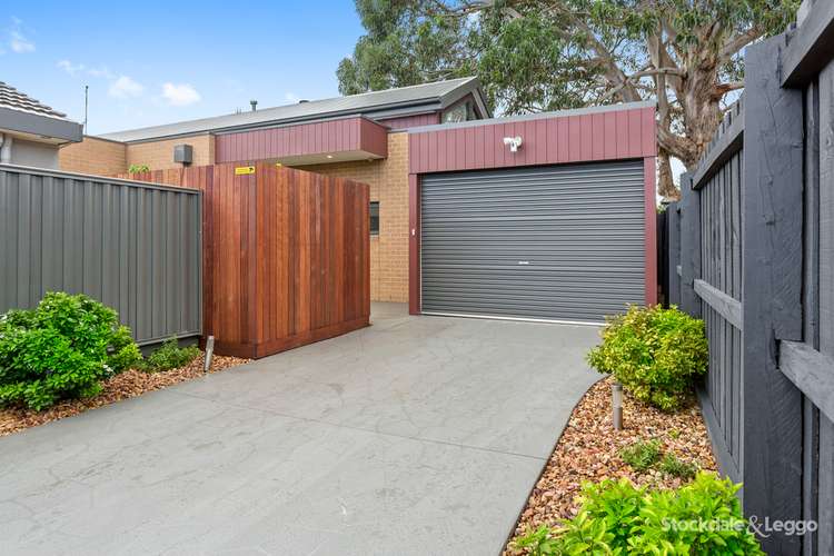 Main view of Homely house listing, 16A Long Street, Langwarrin VIC 3910