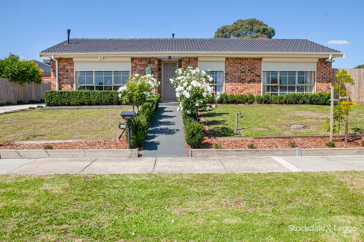 Main view of Homely house listing, 1/117 Oaktree Drive, Hampton Park VIC 3976