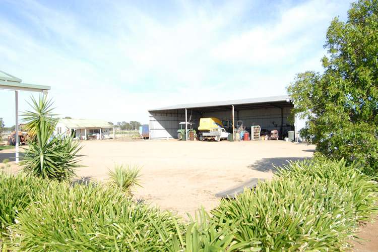 Third view of Homely acreageSemiRural listing, 40 FLANAGANS LANE, Deniliquin NSW 2710