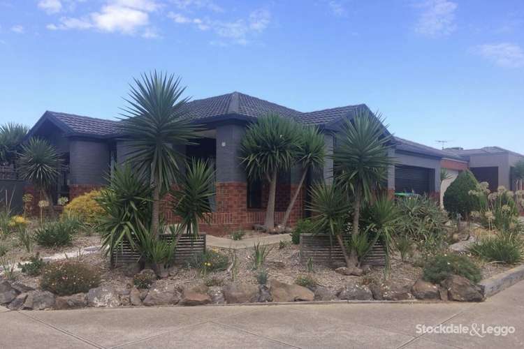 Main view of Homely house listing, 31 Autumn FIelds Circuit, Tarneit VIC 3029