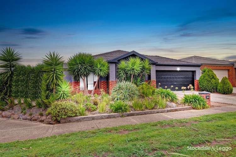 Second view of Homely house listing, 31 Autumn FIelds Circuit, Tarneit VIC 3029