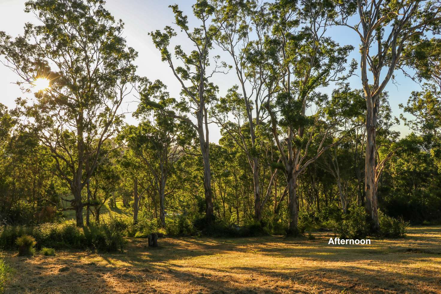 Main view of Homely residentialLand listing, 42 Albert Street, Moruya NSW 2537