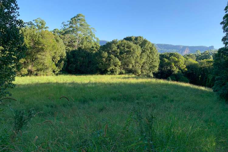 Second view of Homely residentialLand listing, 41 Falls Road, Nimbin NSW 2480
