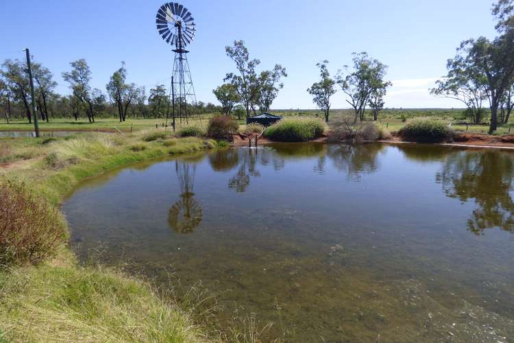 Fifth view of Homely livestock listing, Address available on request