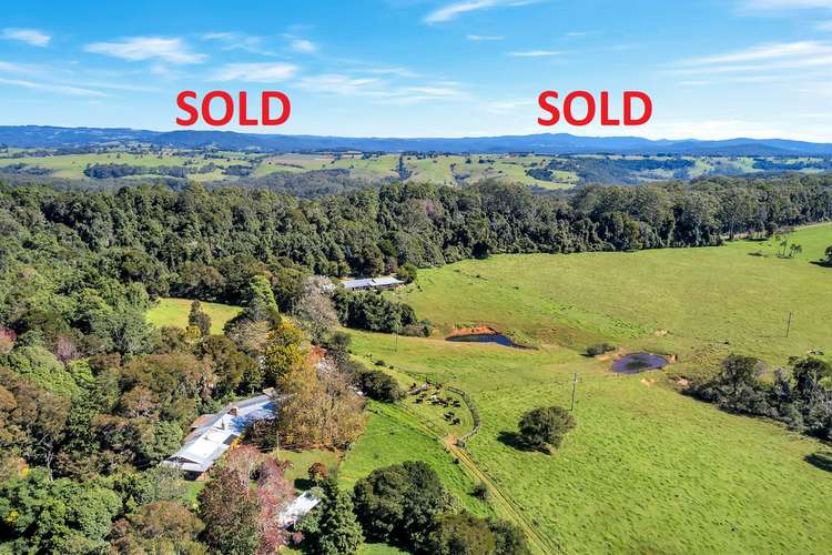 406 Lower Bielsdown Road, Dorrigo NSW 2453