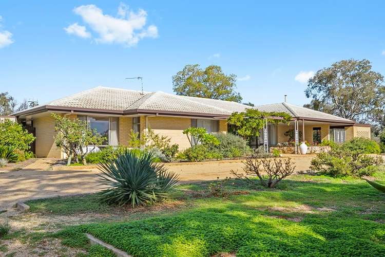 12 Cockin Road, Barmera SA 5345