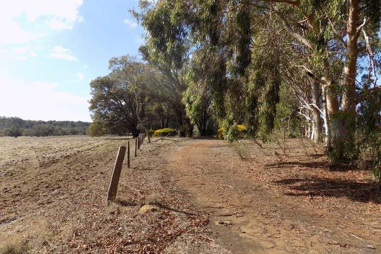 Third view of Homely ruralOther listing, 10200 Bailup Road, Bailup WA 6082