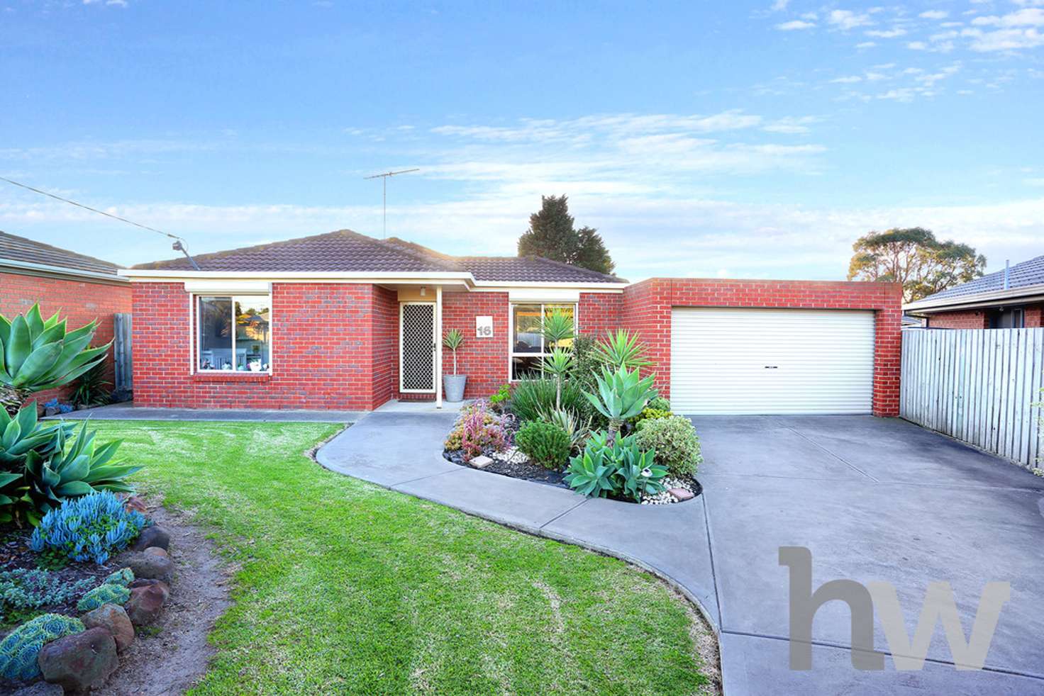 Main view of Homely house listing, 16 Freesia Court, Whittington VIC 3219