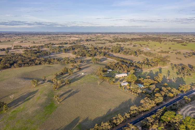 2355 Woolumbool Road, Lucindale SA 5272