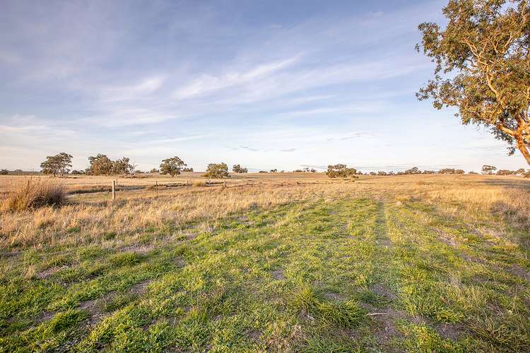 Fourth view of Homely mixedFarming listing, 2355 Woolumbool Road, Lucindale SA 5272