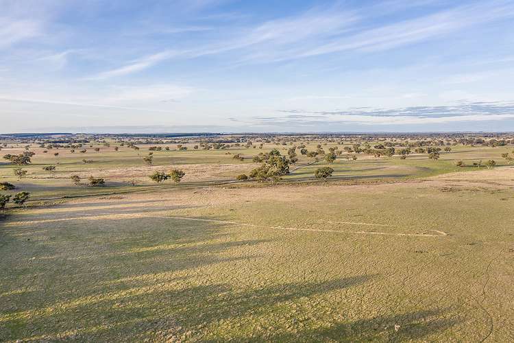 Fifth view of Homely mixedFarming listing, 2355 Woolumbool Road, Lucindale SA 5272