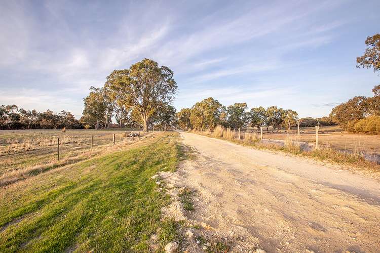 Sixth view of Homely mixedFarming listing, 2355 Woolumbool Road, Lucindale SA 5272