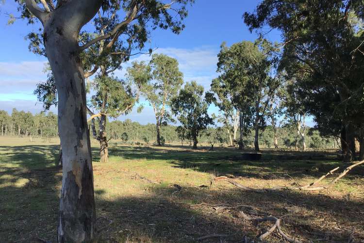 Third view of Homely livestock listing, 19A Byjuke Forest Road, Lake Mundi VIC 3312